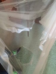 -艾米丽婚纱礼服