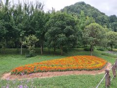 -贵阳市花溪国家城市湿地公园