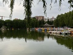 -团结湖公园