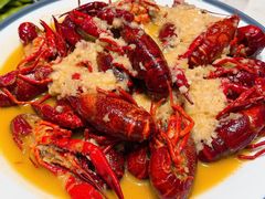 -杨氏青龙虾·羊蝎子(托乐嘉店)