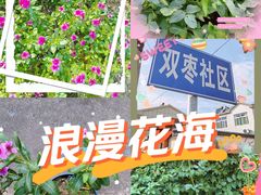 -砂之船奥特莱斯(合肥店)