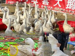 -辛庄国际文化艺术区