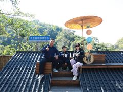 -西双版纳原始森林公园