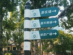 -团结湖公园