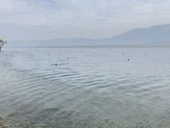 -大理洱海