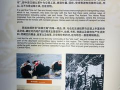 -重庆科技馆