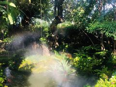 -Chom Cafe and Restaurant