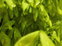 -碓臼峪自然风景区