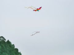 -南国桃园旅游度假区