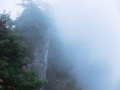 -秦岭天竺山景区