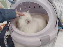 -四月宠物医院·猫专科·心脏专科·内科(转塘店)