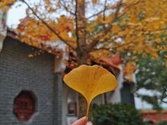 -南岳大庙