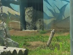 -青藏高原野生动物园