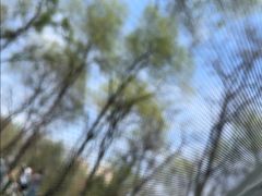 -森林公园(尖草坪区)