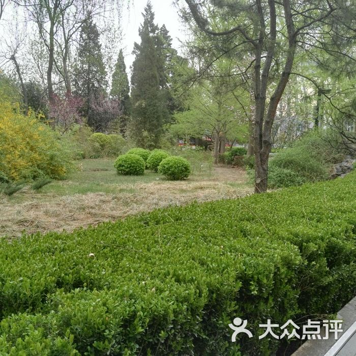 安贞社区街心公园