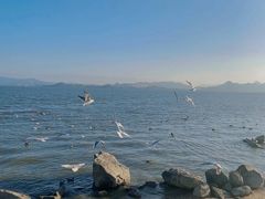 -深圳湾公园(南山区)