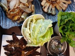 -蘑统田下·野生菌火锅