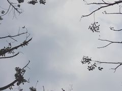 -云幽谷旅游区