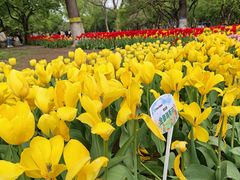 -石家庄市植物园