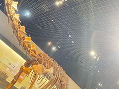 -衢州市博物馆