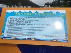 -演武大桥观景平台