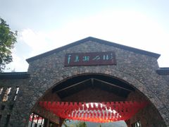 -千岛湖石林