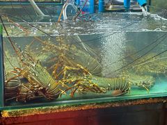 -班赞海鲜市场