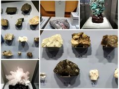 -重庆自然博物馆(新馆)