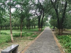 -绿堤公园