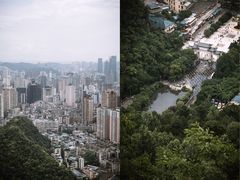-黔灵山公园