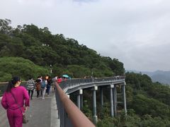 -金鸡山公园