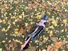 -羊亭河湿地公园