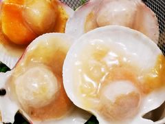 -肥佬大椰子鸡(三里屯3·3大厦店)
