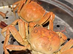 -一方渔歌蒸汽海鲜自助(文化路万达广场店)