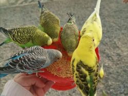 -萌宠亲子动物乐园(槐房万达店)