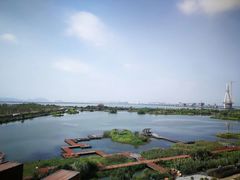 -芒洲湿地公园