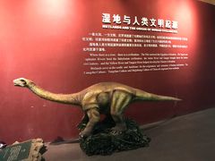 -中国湿地博物馆