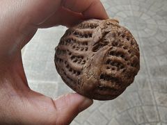 -梦菲思饼屋(瑞金宾馆店)