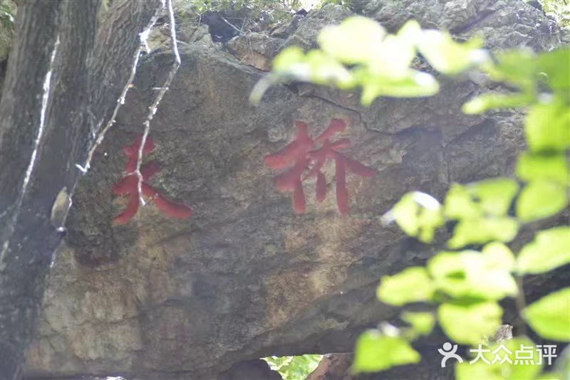 吊水壶国家森林公园图片