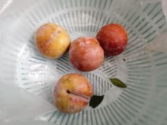 -三元里农贸市场