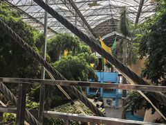 -北国之春国宴(乌兰察布店)