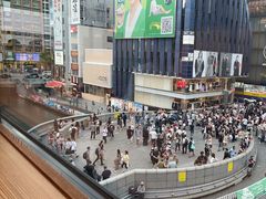 -蟹道乐(道顿堀本店)