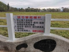 -瑞穗牧场