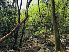-九曜山