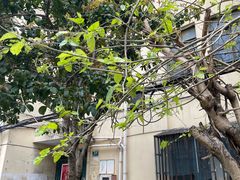 -逅莱·影院足道·日式SPA(大世界店)
