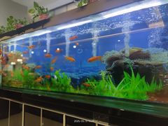 -张刚餐饮(春晓馨苑店)