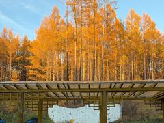 -莫尔道嘎国家森林公园