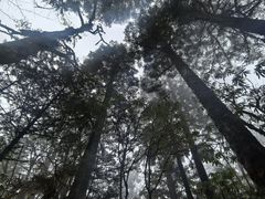 -海螺沟风景区