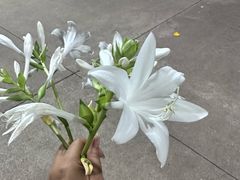 -森林公园(尖草坪区)