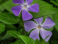 -苏州河梦清园环保主题公园